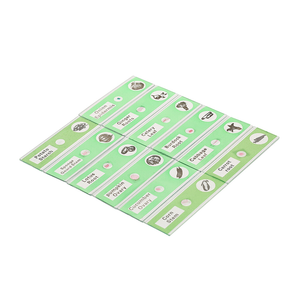 48pcs/set Prepared Microscope Slides Animals Insects Plants Sample Y4D1
