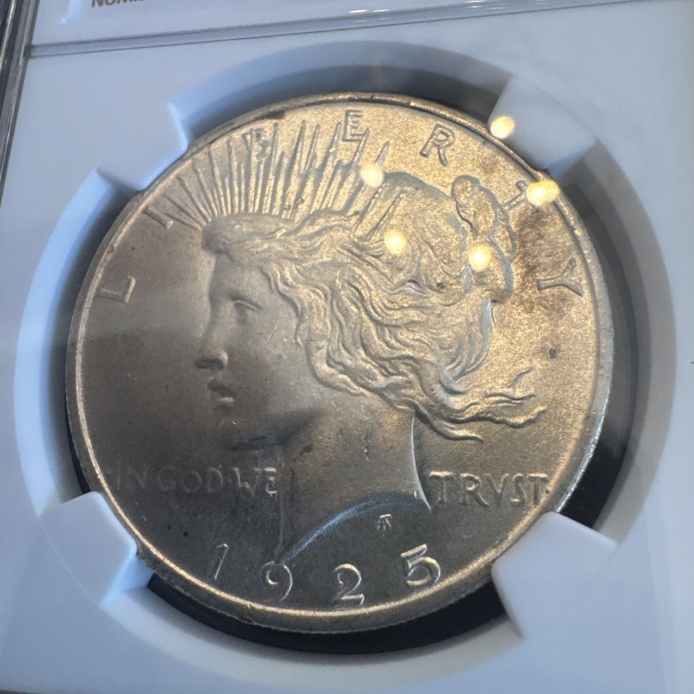 Peace Silver Dollar 1925 - 90% Silver Verified - NGC MS64