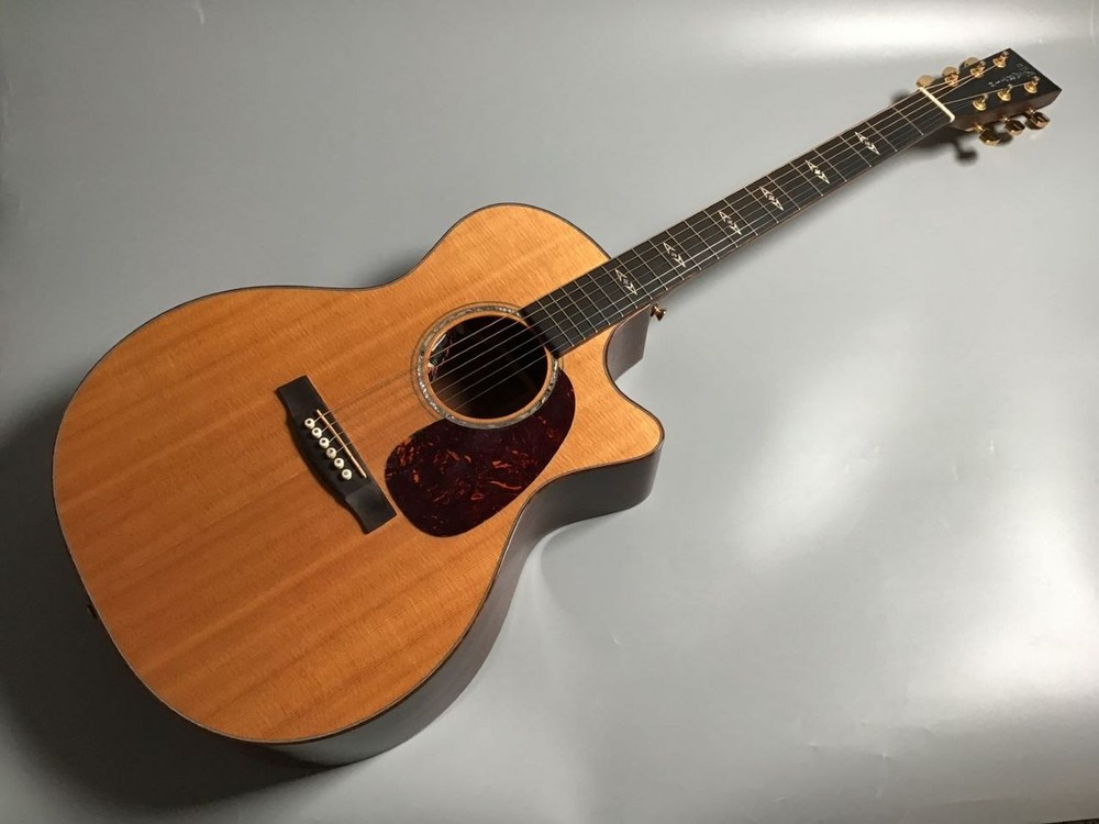Martin GPCPA1 Plus