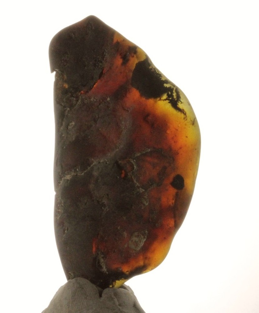 TWO COLOR Red Cognac! Mexican Amber Raw 30g