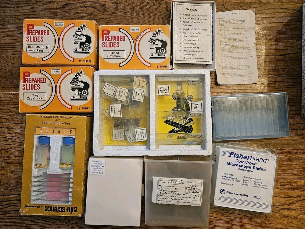 Vintage Prepared Specimen Slides