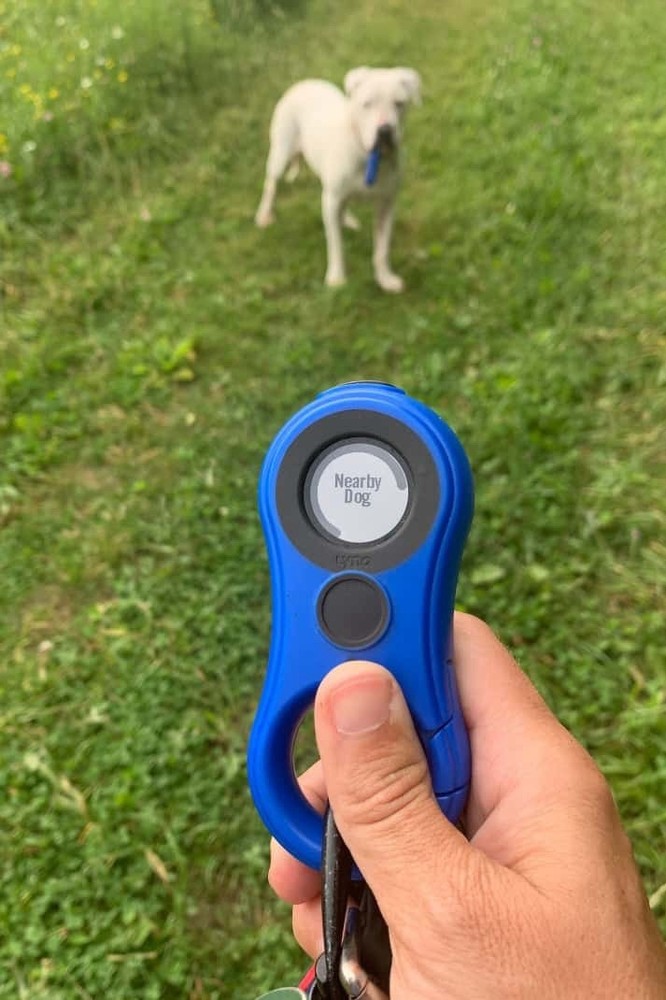 LynQ Smart Compass Tracker GPS  - Blue - Great Condition Works Great Reset Ready