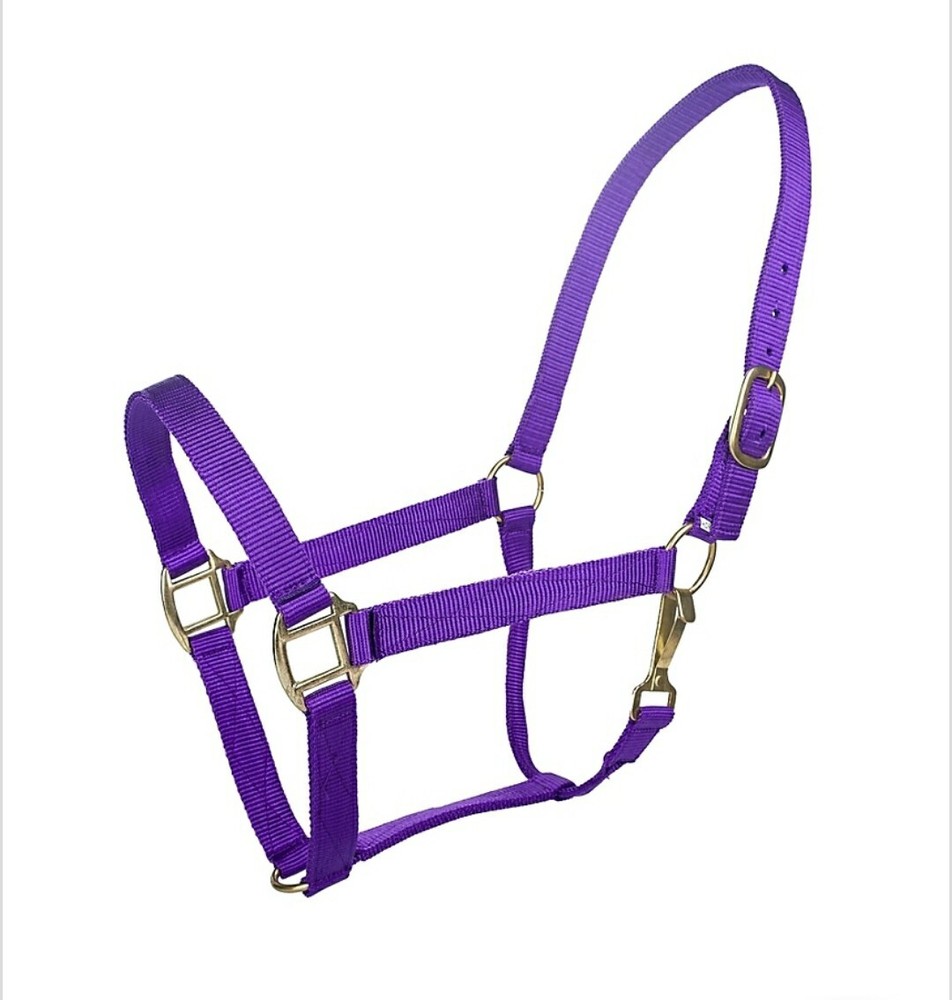 Purple Breakaway Nylon Halter w/Snap