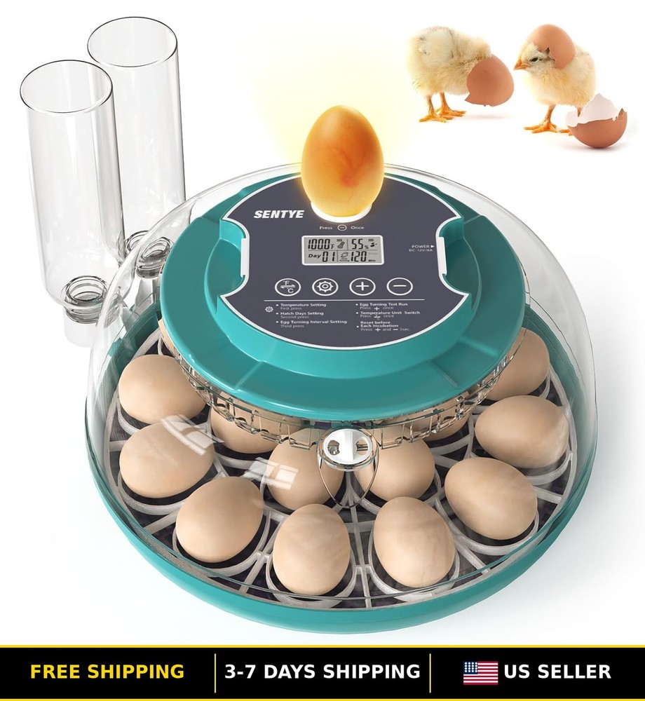 Digital Large Egg Incubator with LED Display & Adjustable Turner