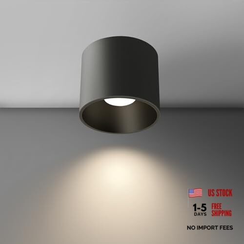 Modern Ceiling Spot Light Fixture, Dimmable Flush Mount Light 4.72'' Black