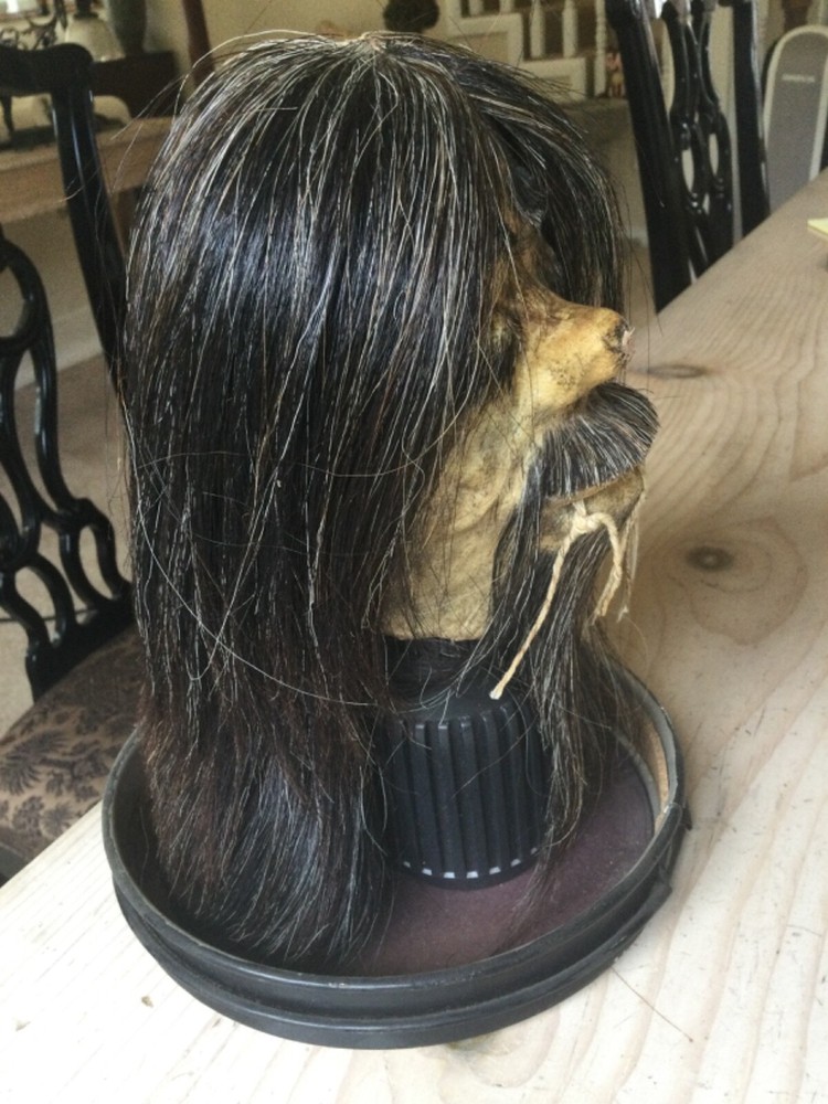 RARE Classic "Shunken Head" from Ecuador