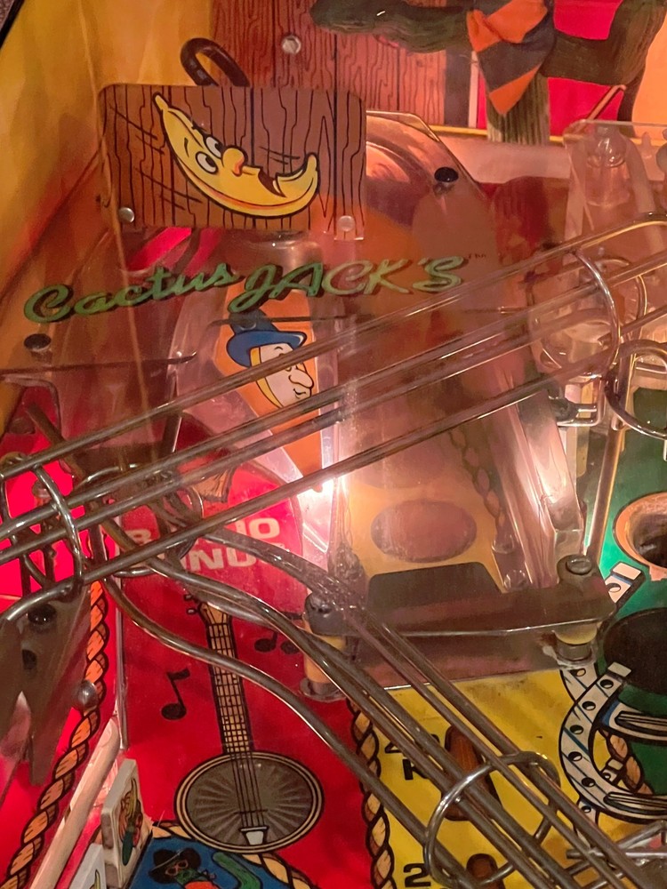 CACTUS JACK PINBALL MACHINE