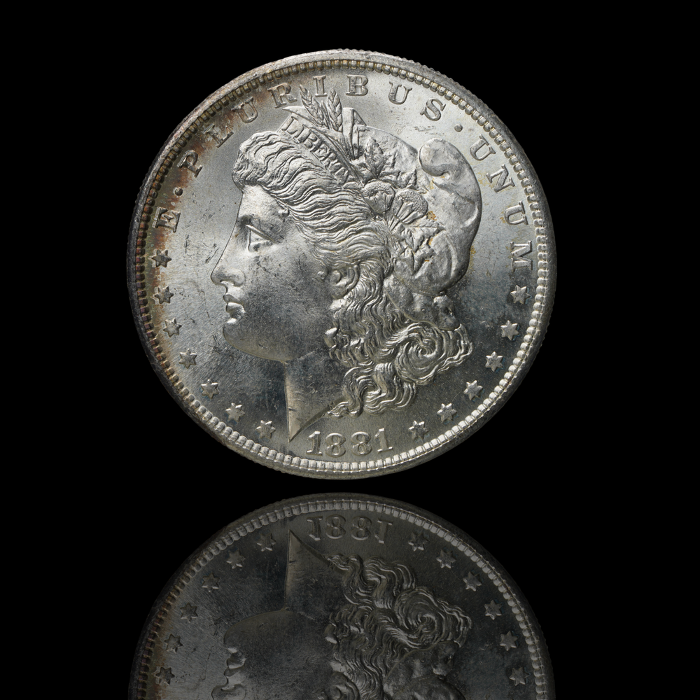 1881 S Morgan Silver Dollar BU MS Toned