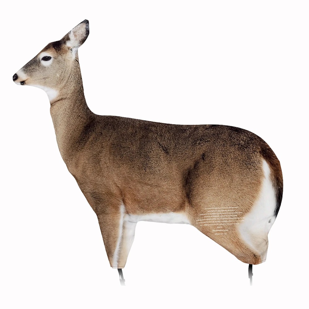 Dream Team decoy new