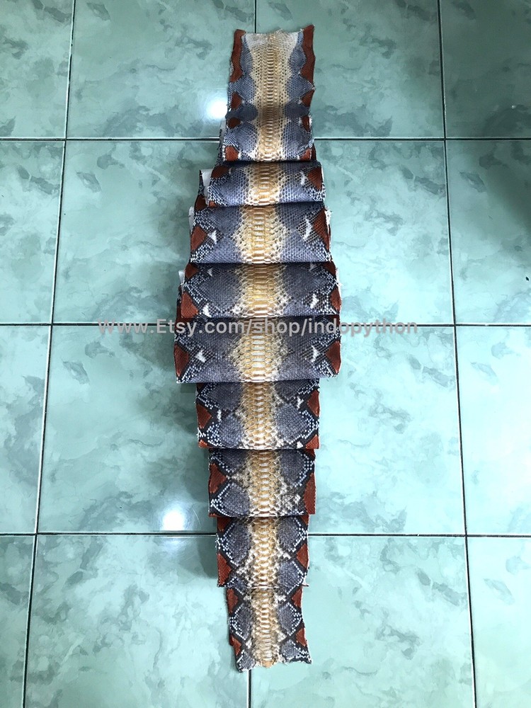 Genuine Python Leather, Exotic Snake Skin, Gray SnakeSkin, Multicolor Leather