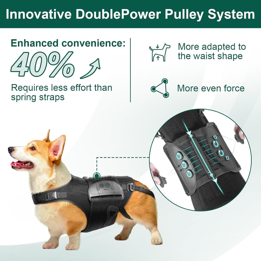 Dog Back Brace Spine Support Size L