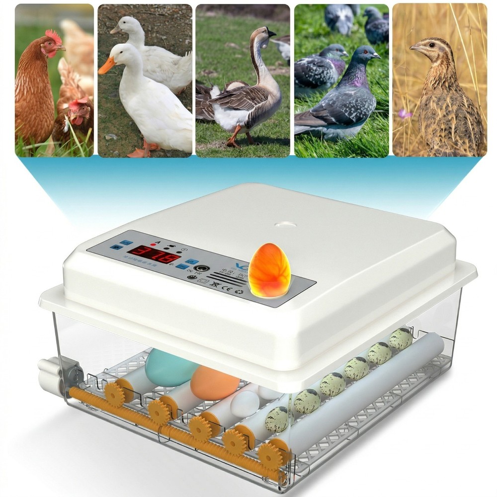 16/36 Eggs Digital Incubator Hatcher Temperature Control Automatic Turning 110V