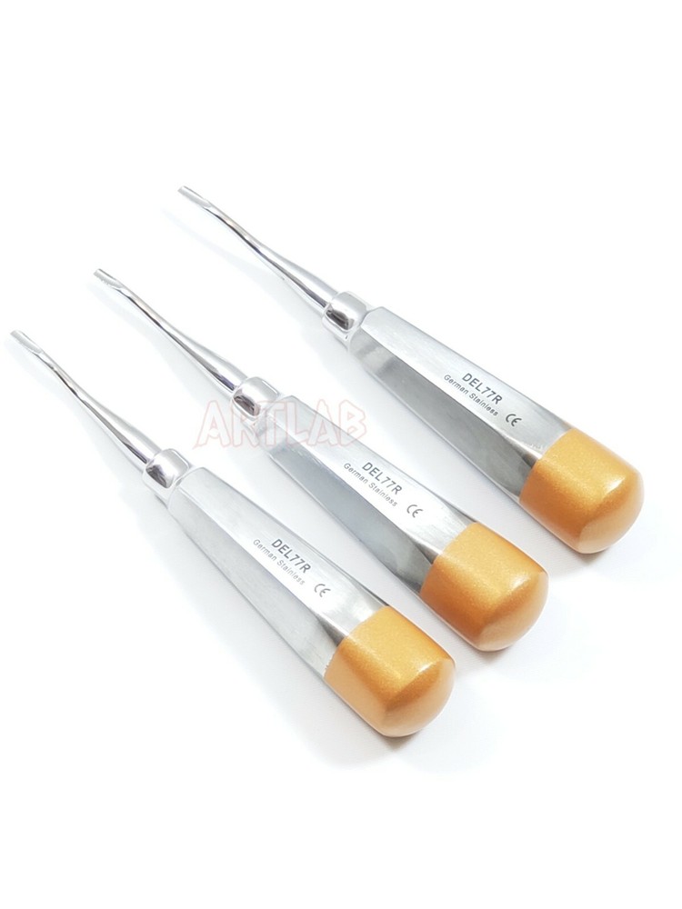 5 EA German Premium Root Dental Tooth Extracting Elevator # 77R-Dental Elevators