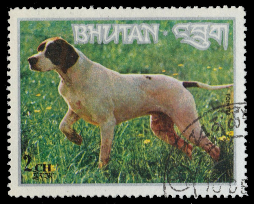 BHUTAN 149 - Dog Breeds "Pointer" (pf55918)