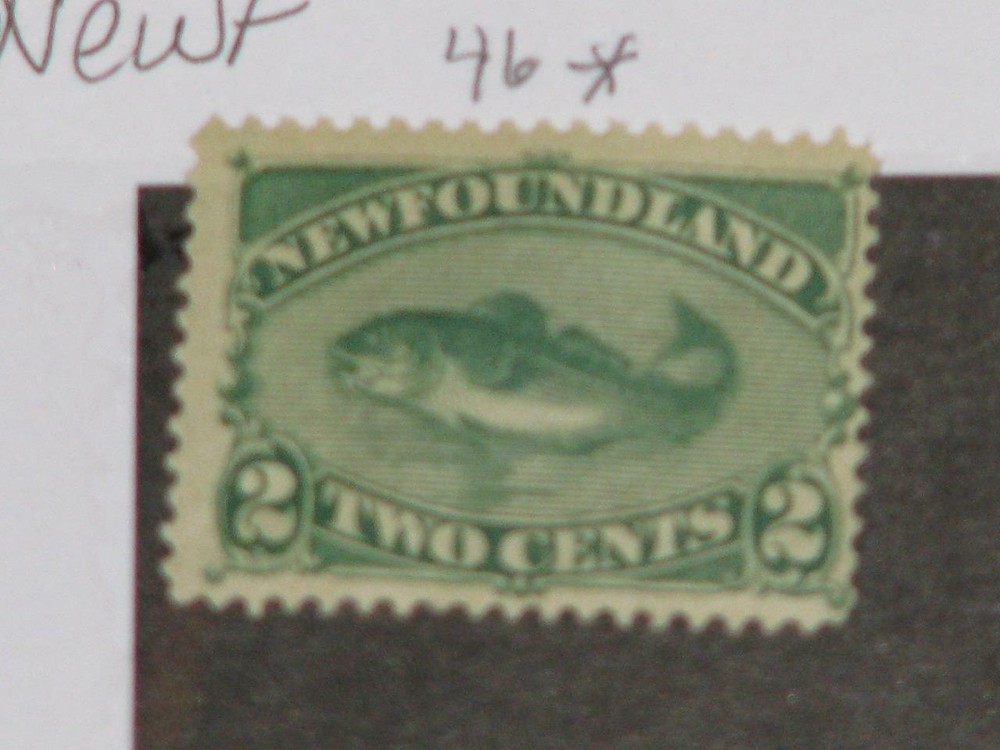 CANADA, NEWFOUNDLAND,SCOTT# 46, MINT HINGED
