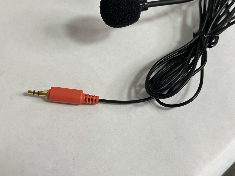 AOL's Point & Speak Speech Recognition |Dragon Systems headset software dummies