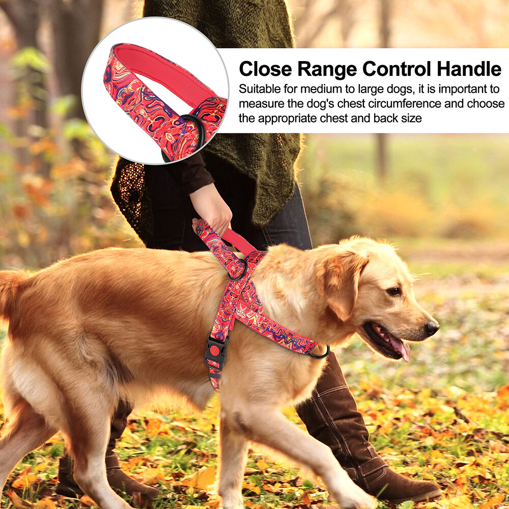 No Pull Dog Harness Nylon Soft Padded with Front Clip for Small Medium Large Dog