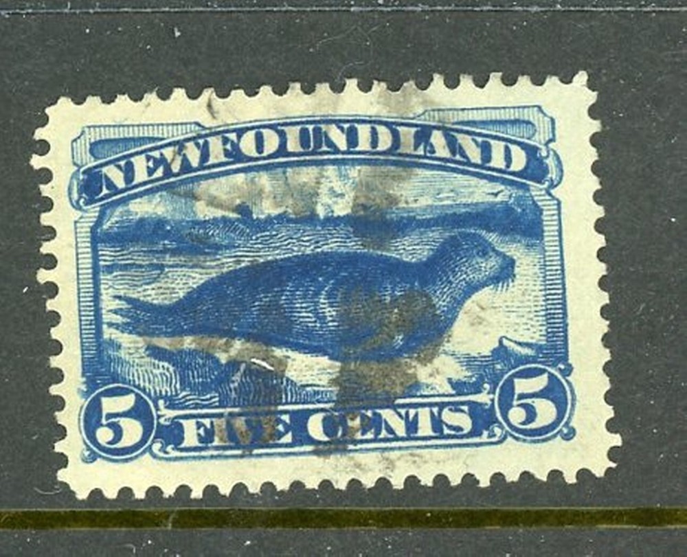 Newfoundland Scott # 55 - Used - Nice Centering       (31-C251)