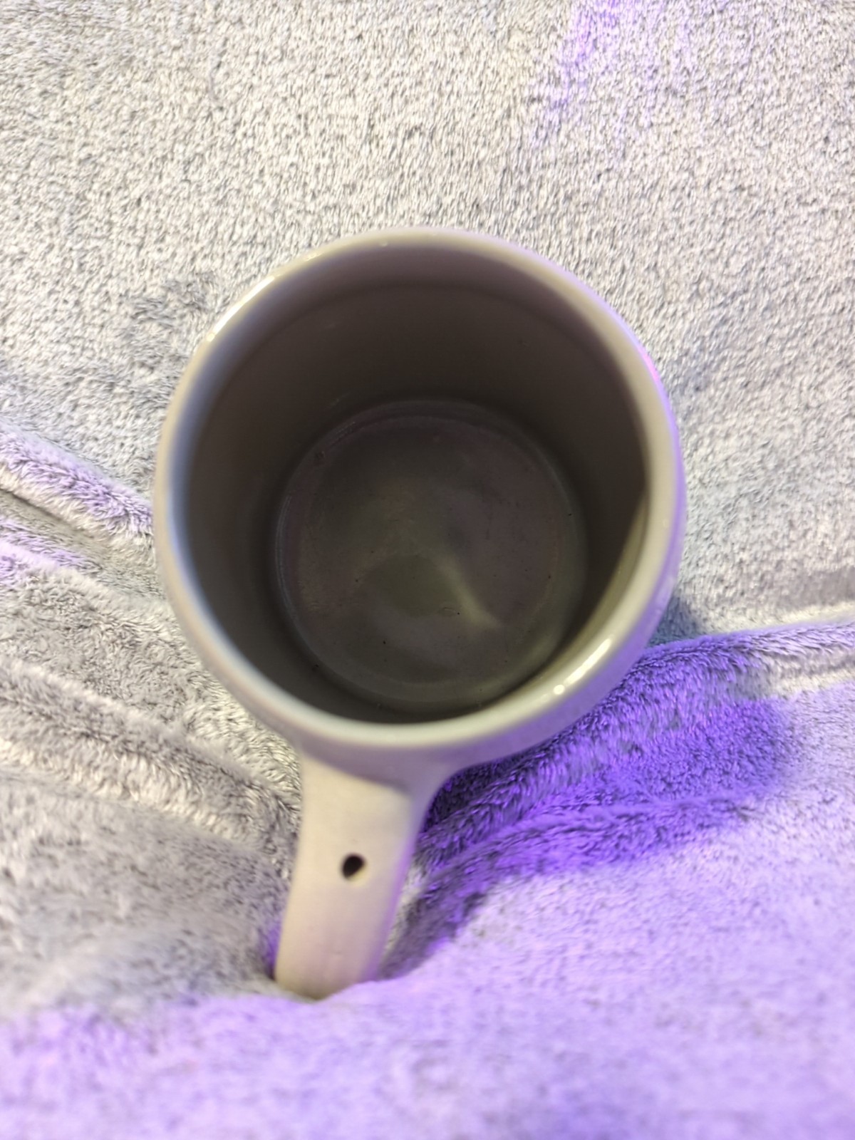 Stiegl Salzburger 1492 Ceramic Beer Stein Mug .5L