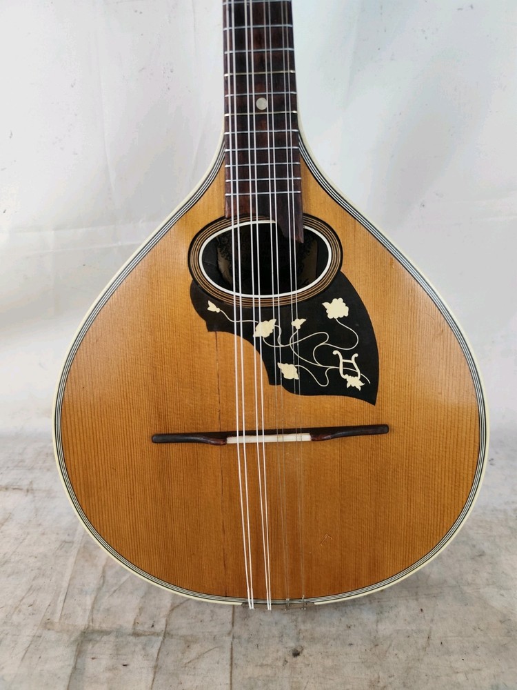 Mandolin 4/4 Herm Hauser 1924 Munich 曼陀林 만돌린マンドリン
