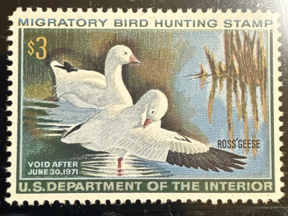 RW37 MNH Duck Stamp 2024 PSE Graded 90 XF
