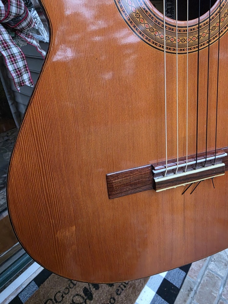 Hohner Lc-60n Classical Guitar. Solid Wood 💥LOW 2mm ACTION @ 12TH💥