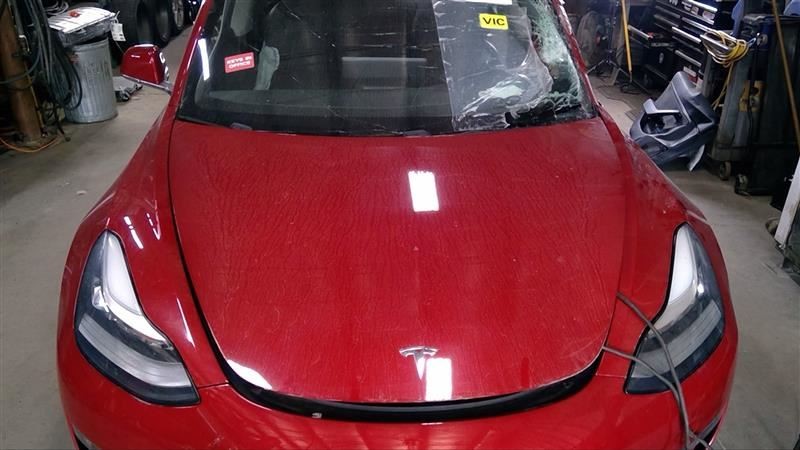 TESLA 3 2018 Interior View Camera 1446397
