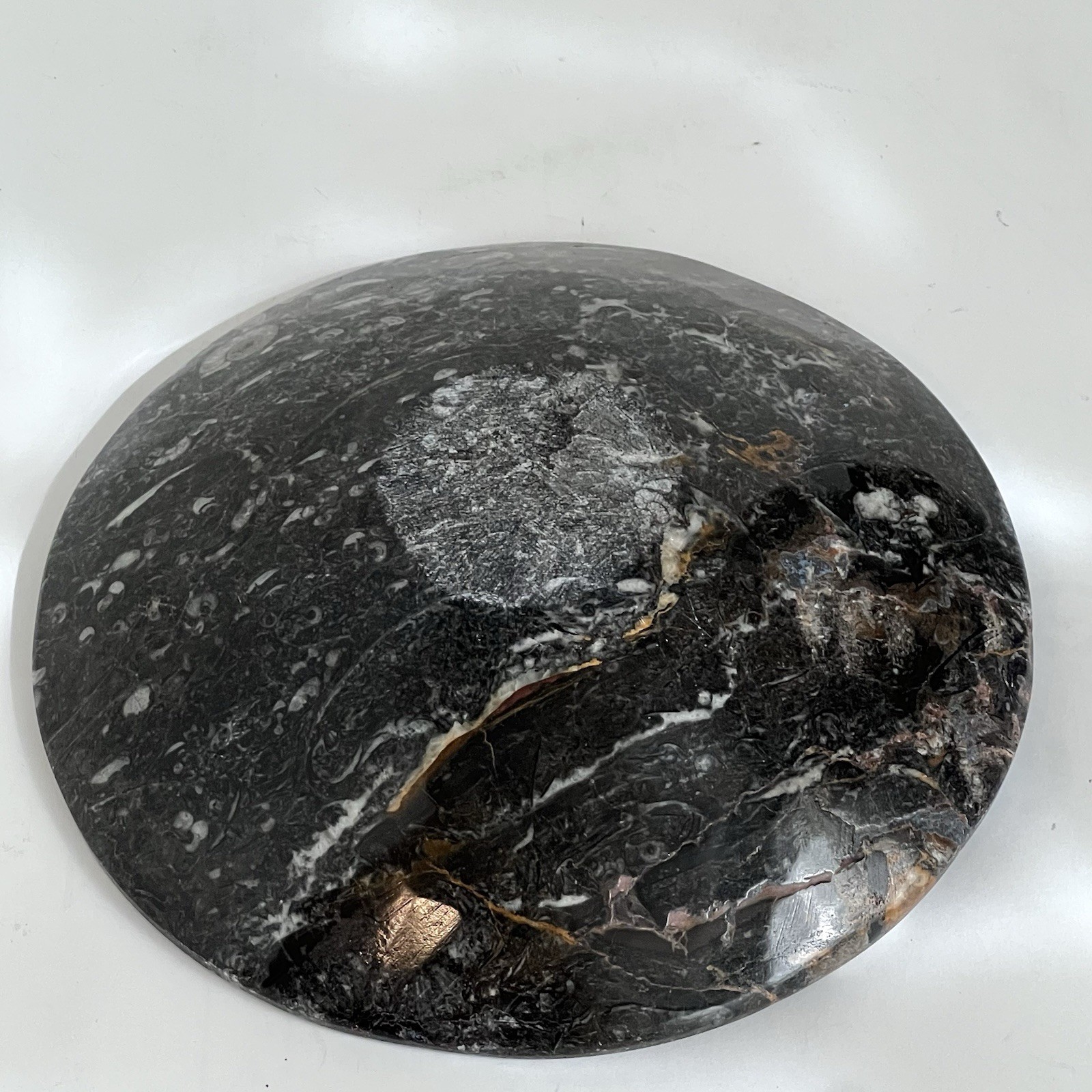 Hand Carved Ammonite Orthoceras Fossil Bowl Ashtray Trinket Jewelry Tray 7”