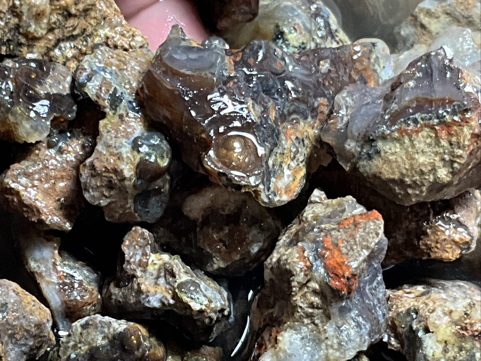 1/4 Pound Fire Agate Choice & Mid Grade Professionally Chosen Colorful Rough Lot