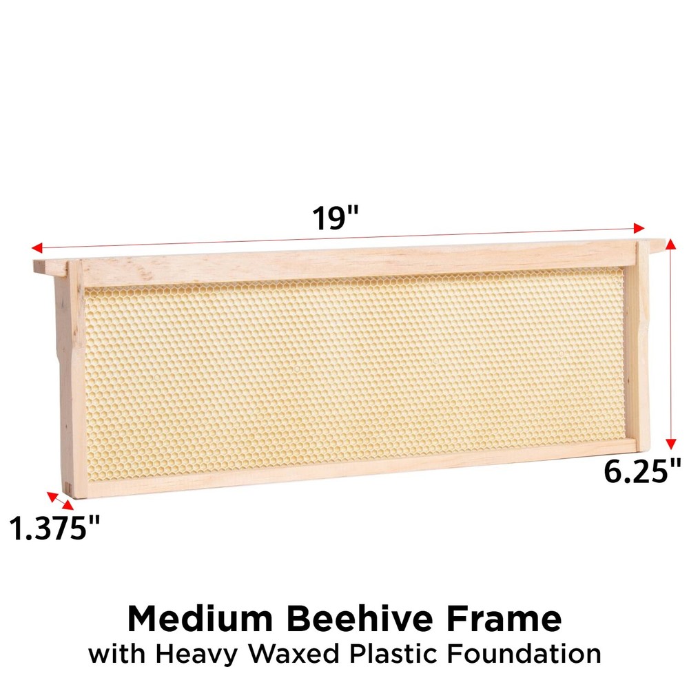 Beekeeping Beehive Frame, Waxed Plastic Foundation, Medium Assembled Amish Made