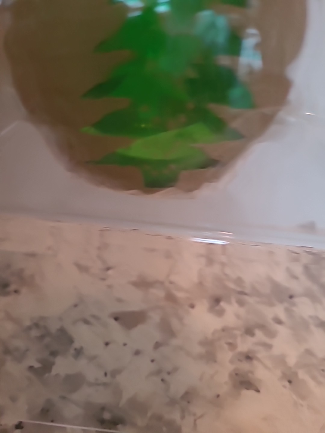 Home Interiors Green Gold Glass Christmas Trees Candle Holder 55029