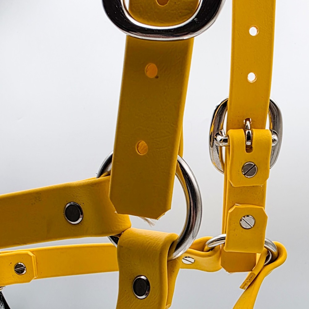 Biothane Horse Halter - Bumble Bee Sunflower