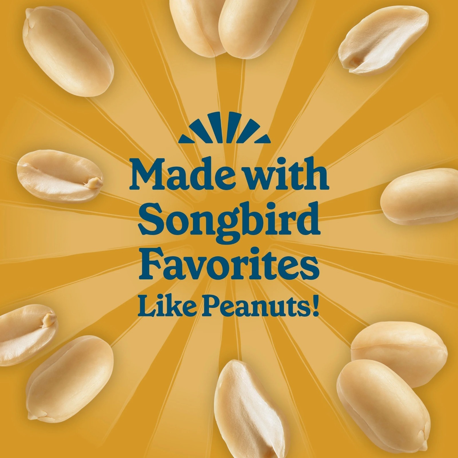 Peanut Delight Suet, 11.75 oz. Cake, Wild Bird Food, 8 Count Value Pack, Fresh