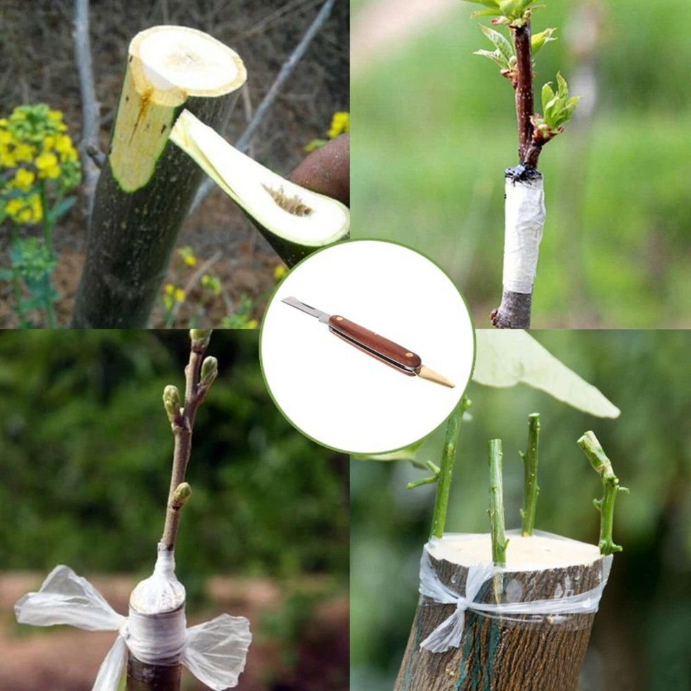 Grafting Knife Pruning Pocket Foldable Tree Fruit Cutting Budding Garden Tool