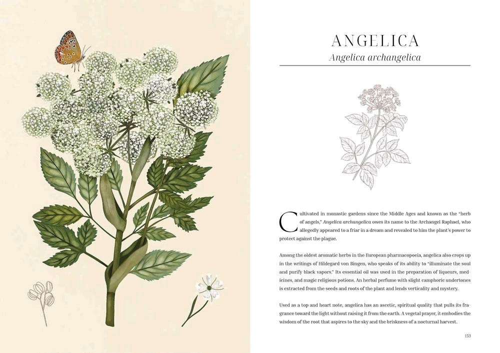 OLFACTORY CODE BOOK Aromatheraphy Magic Scent Magick Alchemy Botanical Perfumery