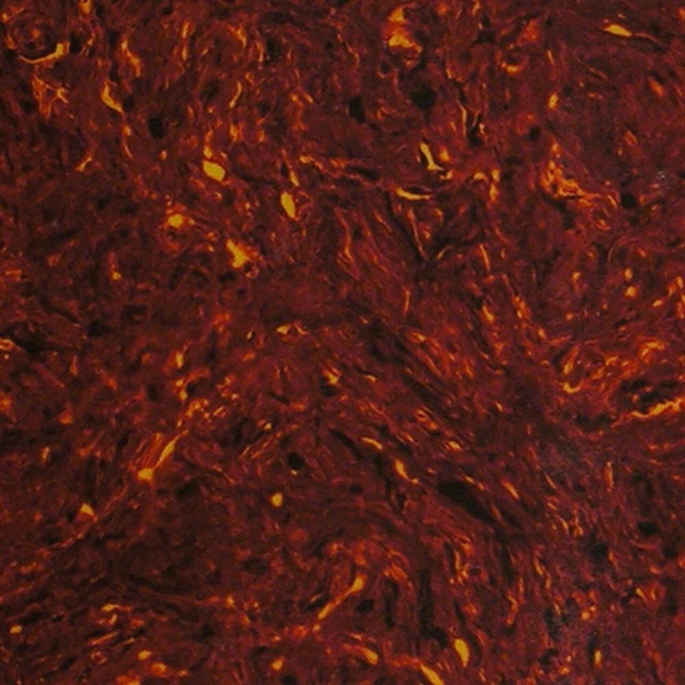 WD Acoustic Pickguard Material Blank Tortoise Shell