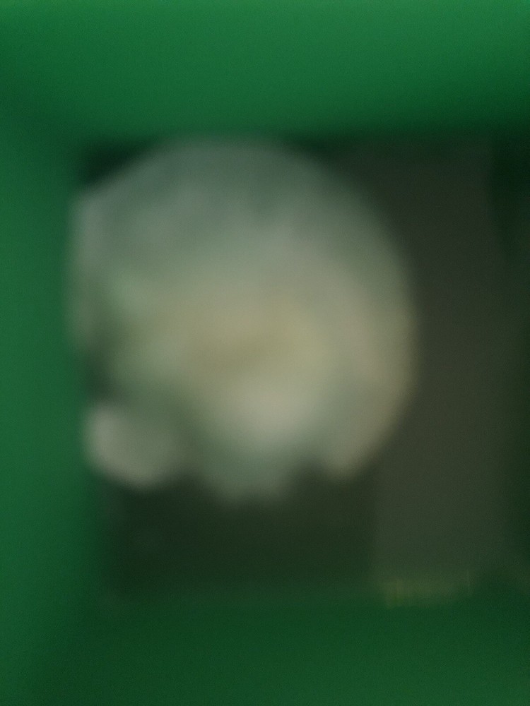 Live Genetics (Pick from Agar/LC/MSS/SS/SP)