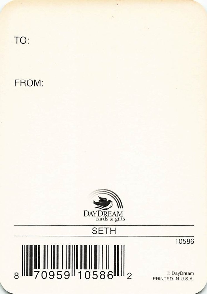 Seth "Appointed One" Keepsake Name Meaning Card with Verse