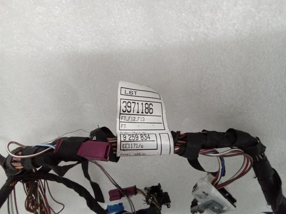 2012-2016 BMW 650i Coupe Front Left Driver Side Door Wire Harness