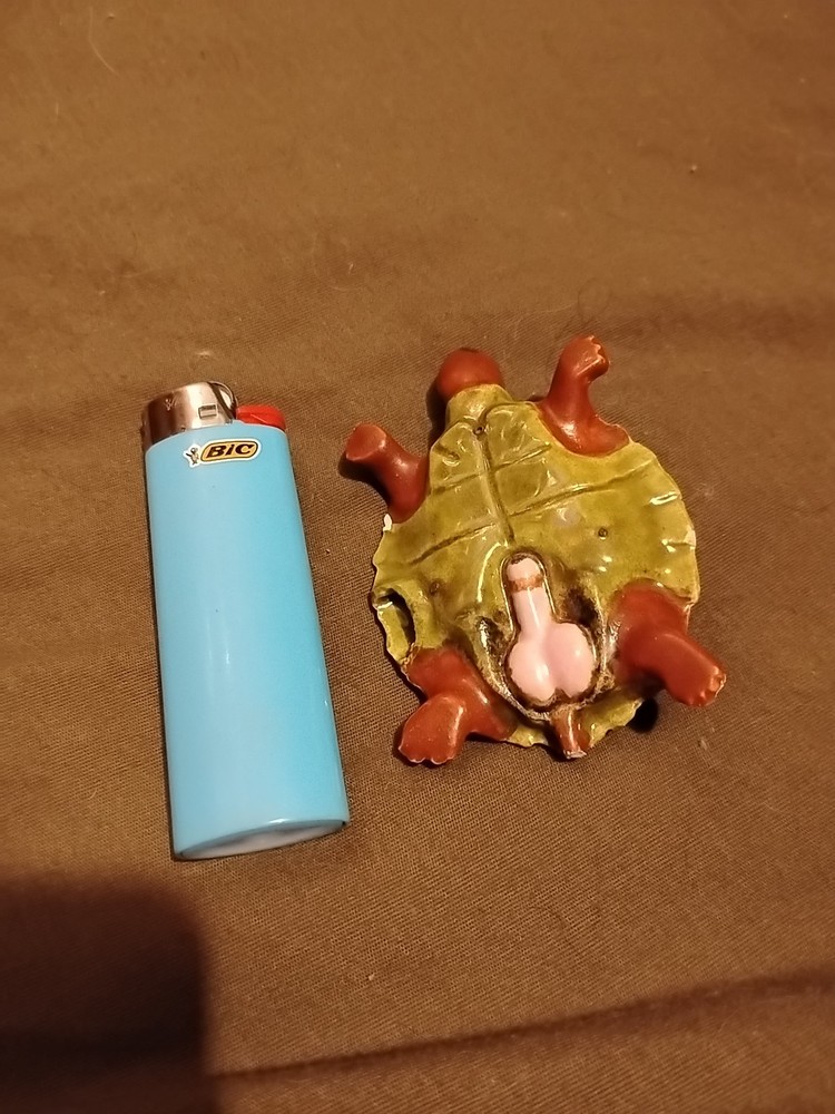 Anatomically Correct Male Ceramic Turtle Figurine