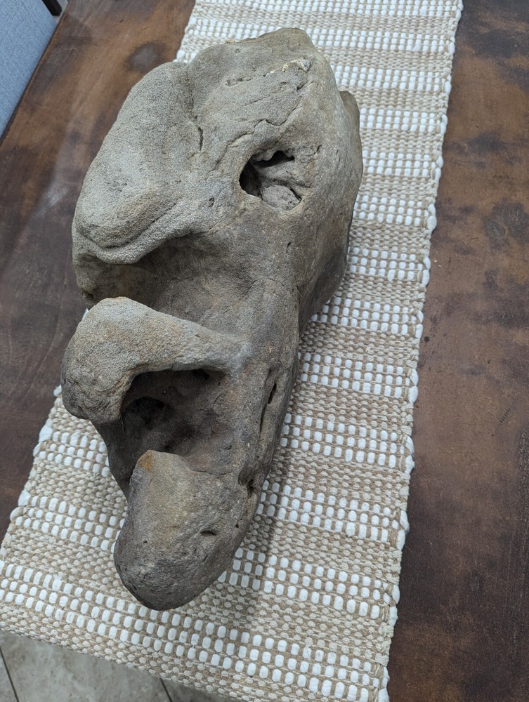 Fossilized Alien Head ???? 👽🛸