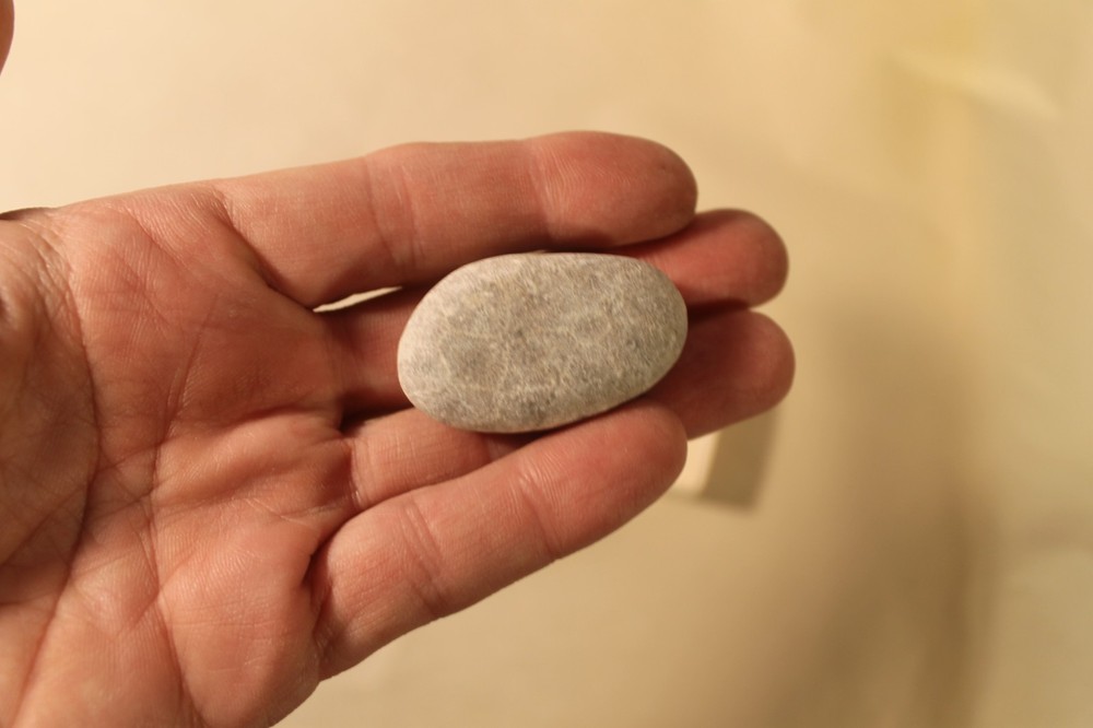 Petosky Stone Specimen, Michigan - From Collection