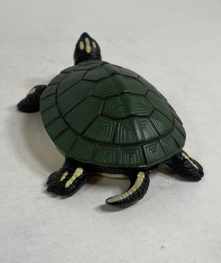 Trachemys Scripta Elegans Turtle Stretch Rubber with Hard Shell Collectible