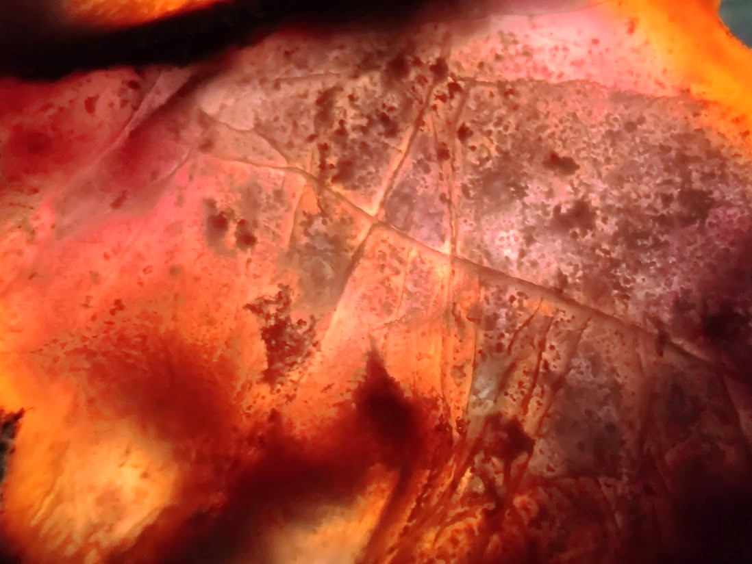 Epic 6" Slab of Rare Burro Creek Agate, Intricate Details & Great Purple Tones