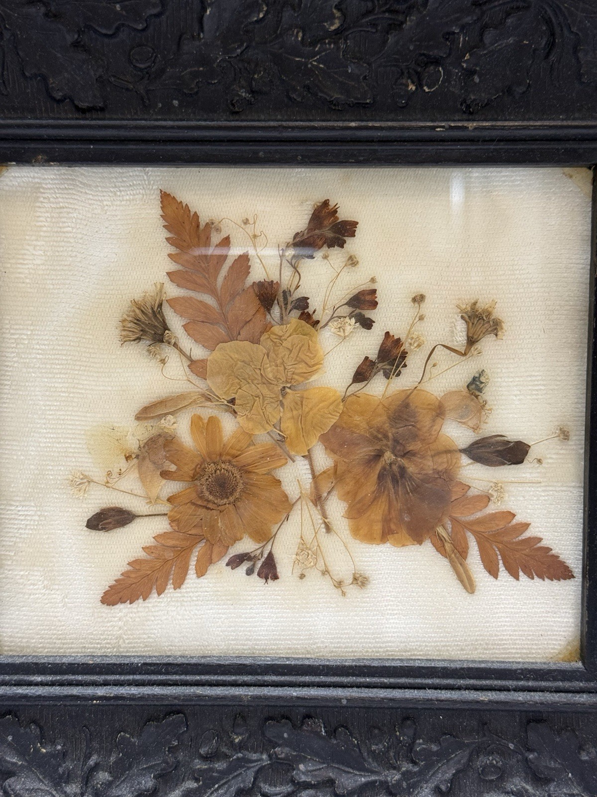 Vintage Dried Pressed Flowers Art Black Ornate Wall Hanging Frame