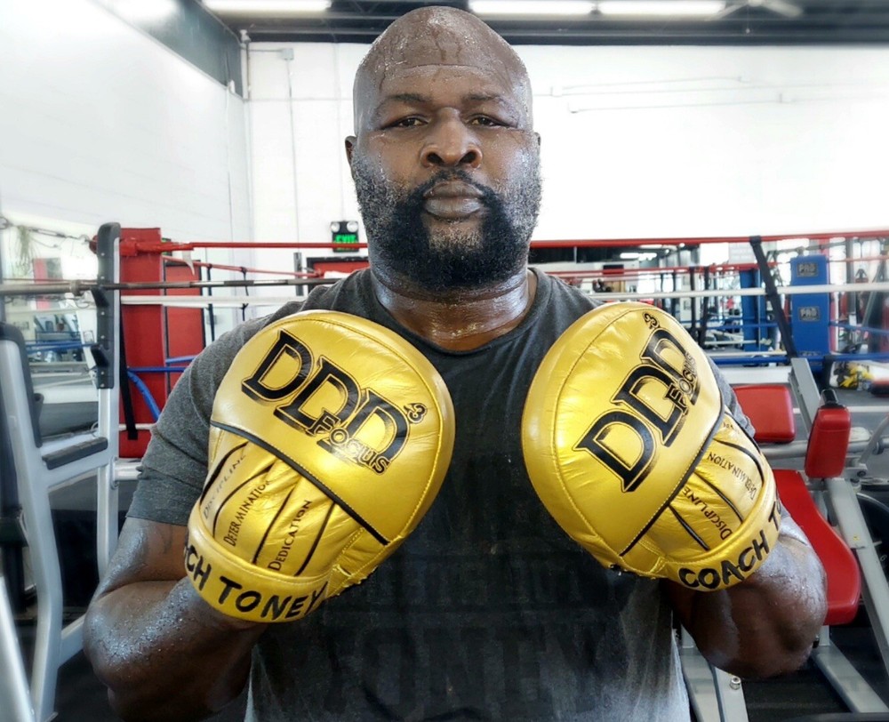 boxing speed mitts