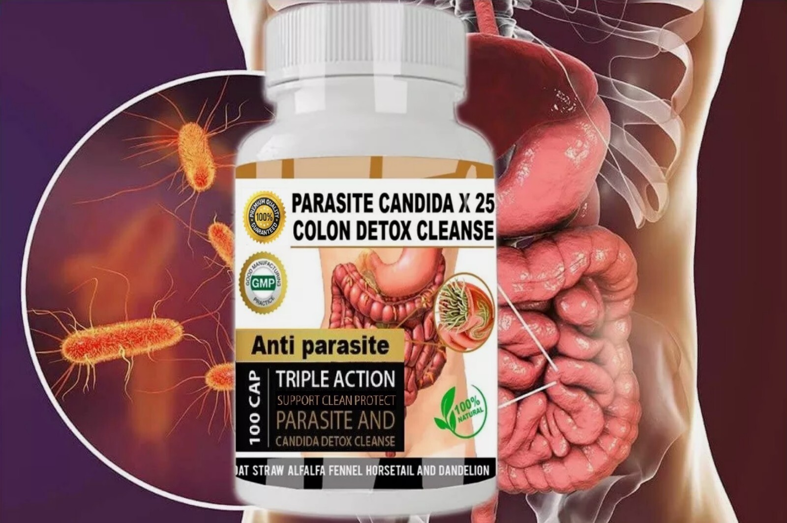 PARASITE DETOX BODY CLEANSE Complex Anti- PARASITE Support Cleanse 100 quick