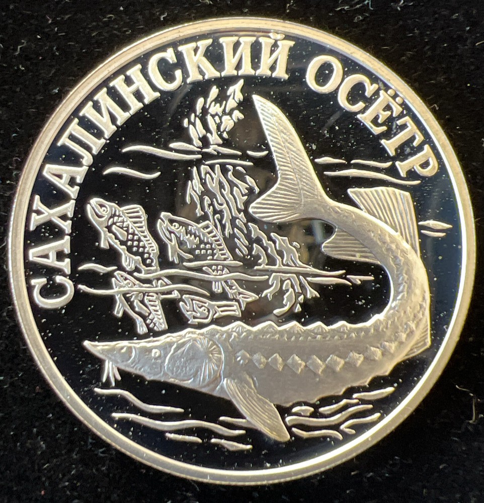 Russia 2001 Proof 1 Rouble KMy732