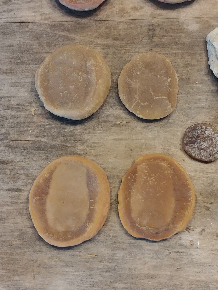 Fossil Lot 34 Total Pieces