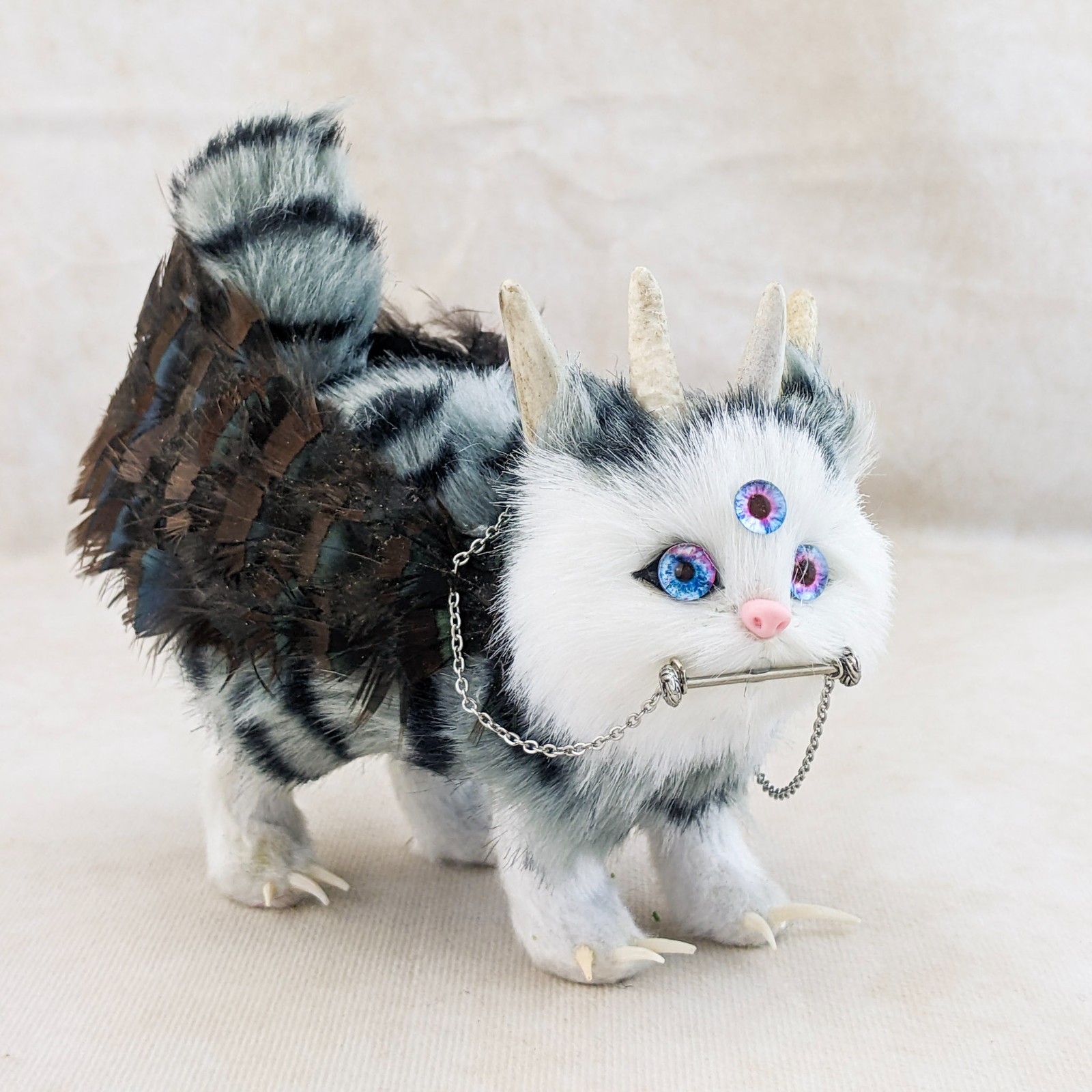 Faux Monster Cat Cryptid display Purogriff cousin to Hippogriff oddities gift